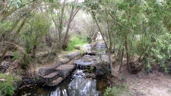 Buck Gully Hike in Newport Beach